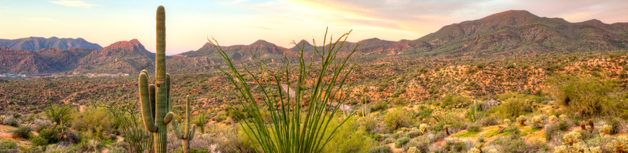 Arizona desert landscape